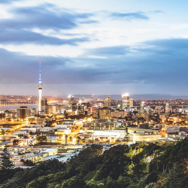 Auckland monitoring services